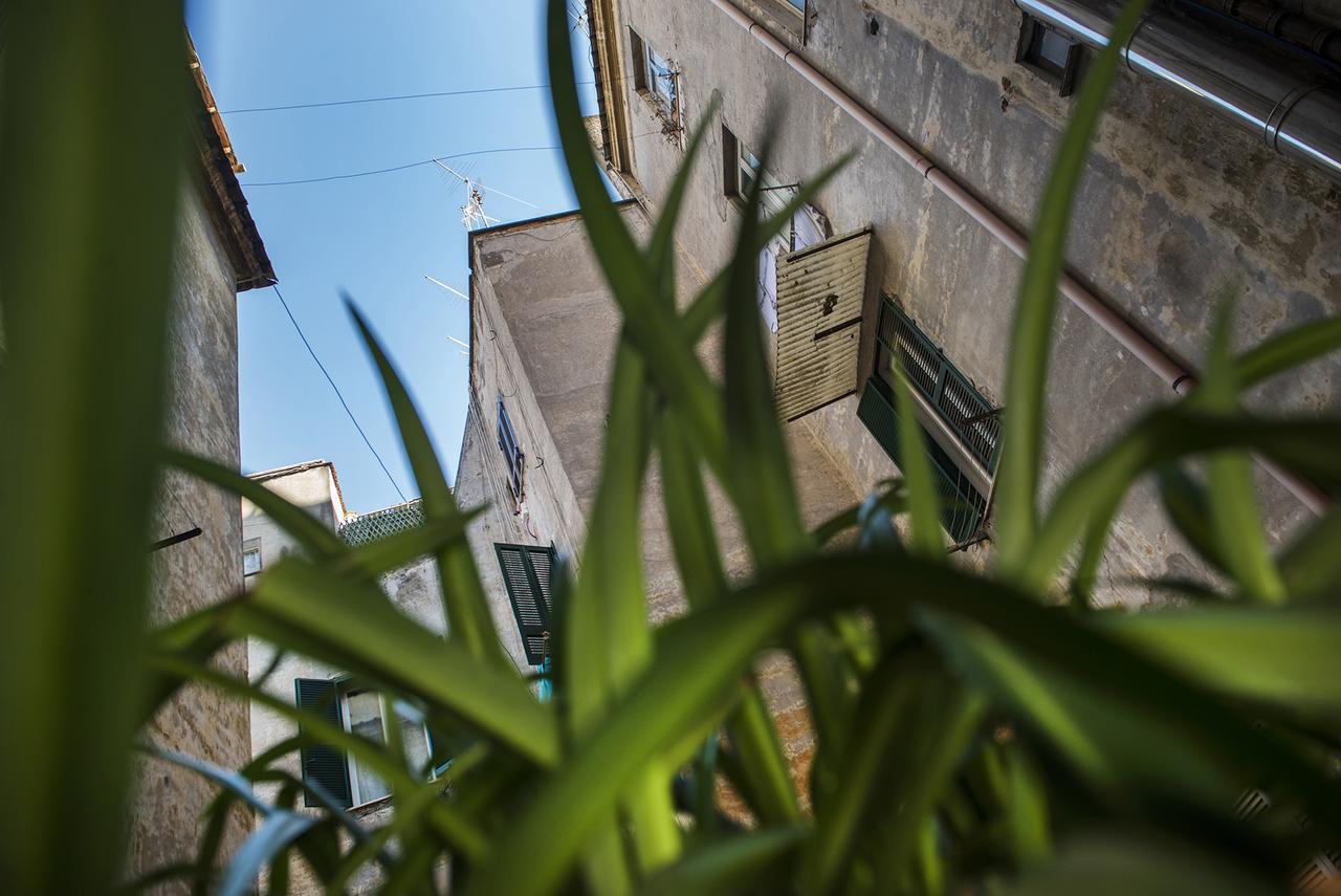 Bed and Breakfast Obelus Rom Exterior foto